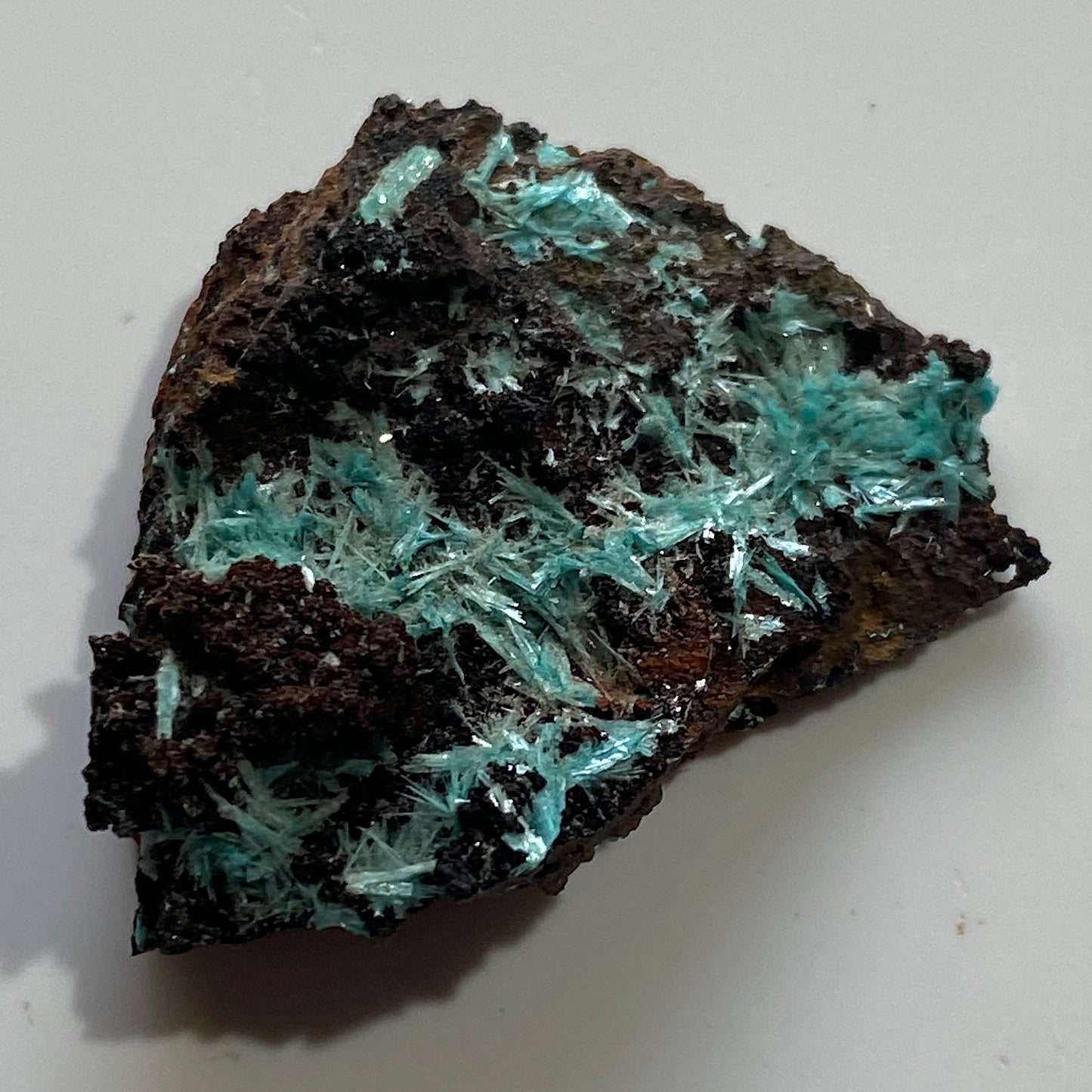 AURICHALCITE ON LIMONITE - SOUTHWEST MINE, BISBEE, ARIZONA, U.S.A. 2g MF4084