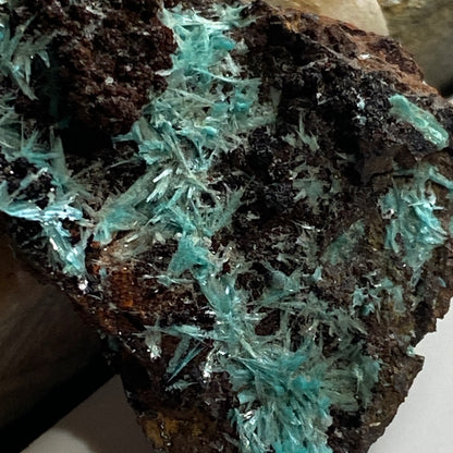 AURICHALCITE ON LIMONITE - SOUTHWEST MINE, BISBEE, ARIZONA, U.S.A. 2g MF4084