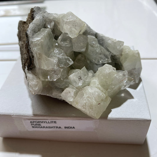 APOPHYLLITE - LONAVALE, PUNE, MAHARASHTRA, INDIA. 246g. MF4087