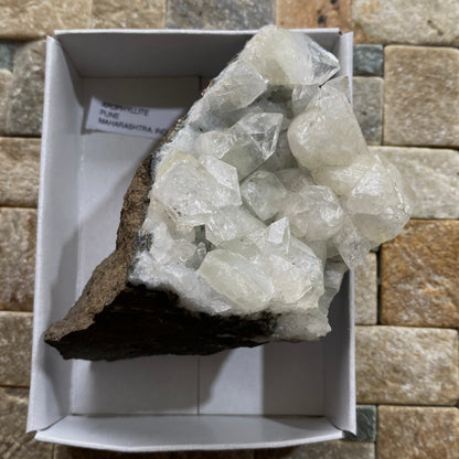 APOPHYLLITE - LONAVALE, PUNE, MAHARASHTRA, INDIA. 246g. MF4087