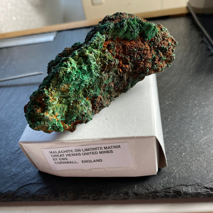 MALACHITE, GREAT HEWAS UNITED MINES, ST EWE, CORNWALL, ENGLAND 218g MF1685