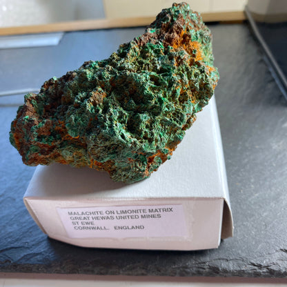 MALACHITE, GREAT HEWAS UNITED MINES, ST EWE, CORNWALL, ENGLAND 218g MF1685