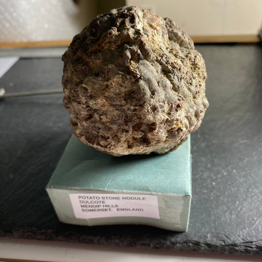 POTATO STONE NODULE FROM DULCOTE, SOMERSET, ENGLAND 379g MF1986