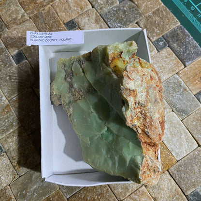 CHRYSOPRASE - SZKLARY MINE,  KLODZKO COUNTY, POLAND.  229g. MF4091