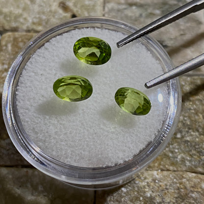 PERIDOT GEMSTONES x 3 : SAPIT GALI, KAGHAN VALLEY, PAKISTAN. 2.63Ct MFG5438