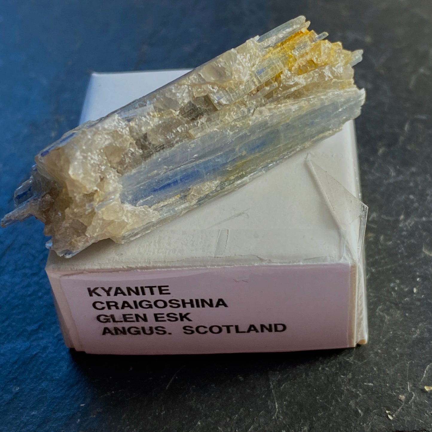 KYANITE, CRAIGOSHINA, GLEN ESK, SCOTLAND 18g MF1690