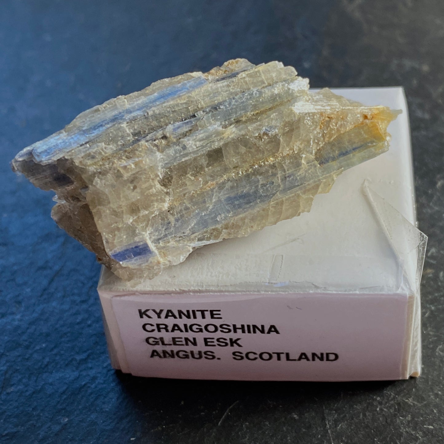 KYANITE, CRAIGOSHINA, GLEN ESK, SCOTLAND 18g MF1690