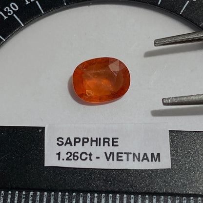 SAPPHIRE CORUNDUM GEMSTONE RARE SPECIMEN FROM LUC YEN, VIETNAM  1.62Ct MFG5439