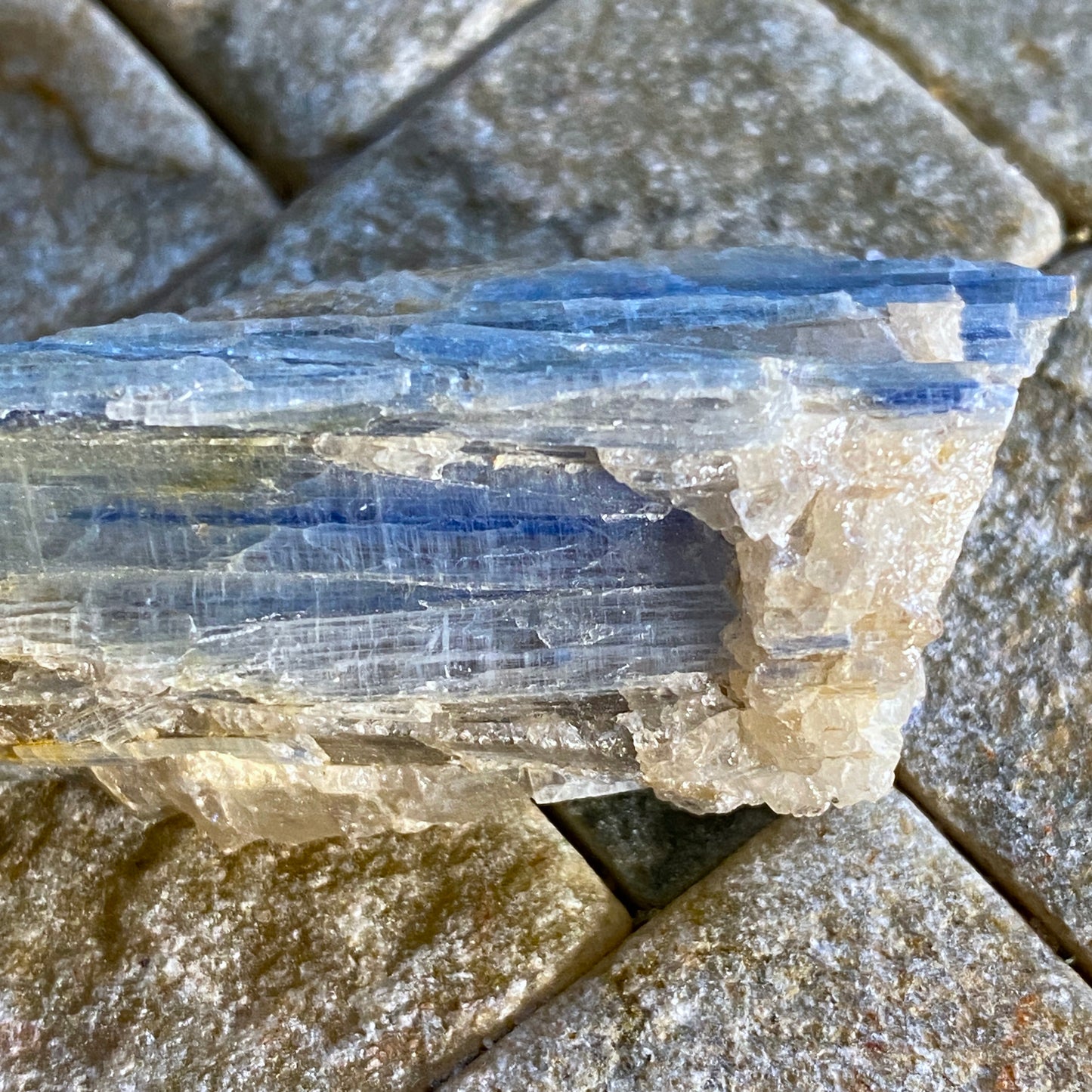 KYANITE, CRAIGOSHINA, GLEN ESK, SCOTLAND 18g MF1690