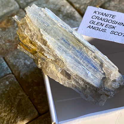 KYANITE, CRAIGOSHINA, GLEN ESK, SCOTLAND 18g MF1690