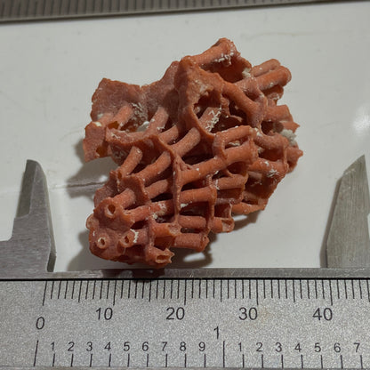 ORGAN PIPE CORAL FROM OFF TIRAN ISLAND, THE RED SEA. 4g. MF4096