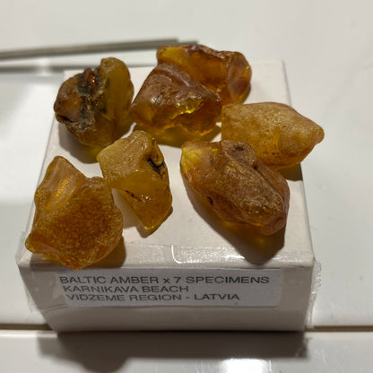 AMBER ROUGH UNTREATED x 7  - KARNIKAVA, BALTIC COAST, LATVIA