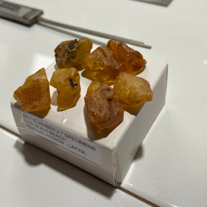 AMBER ROUGH UNTREATED x 7  - KARNIKAVA, BALTIC COAST, LATVIA