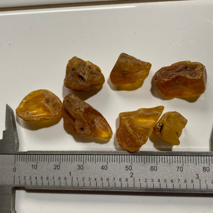 AMBER ROUGH UNTREATED x 7  - KARNIKAVA, BALTIC COAST, LATVIA