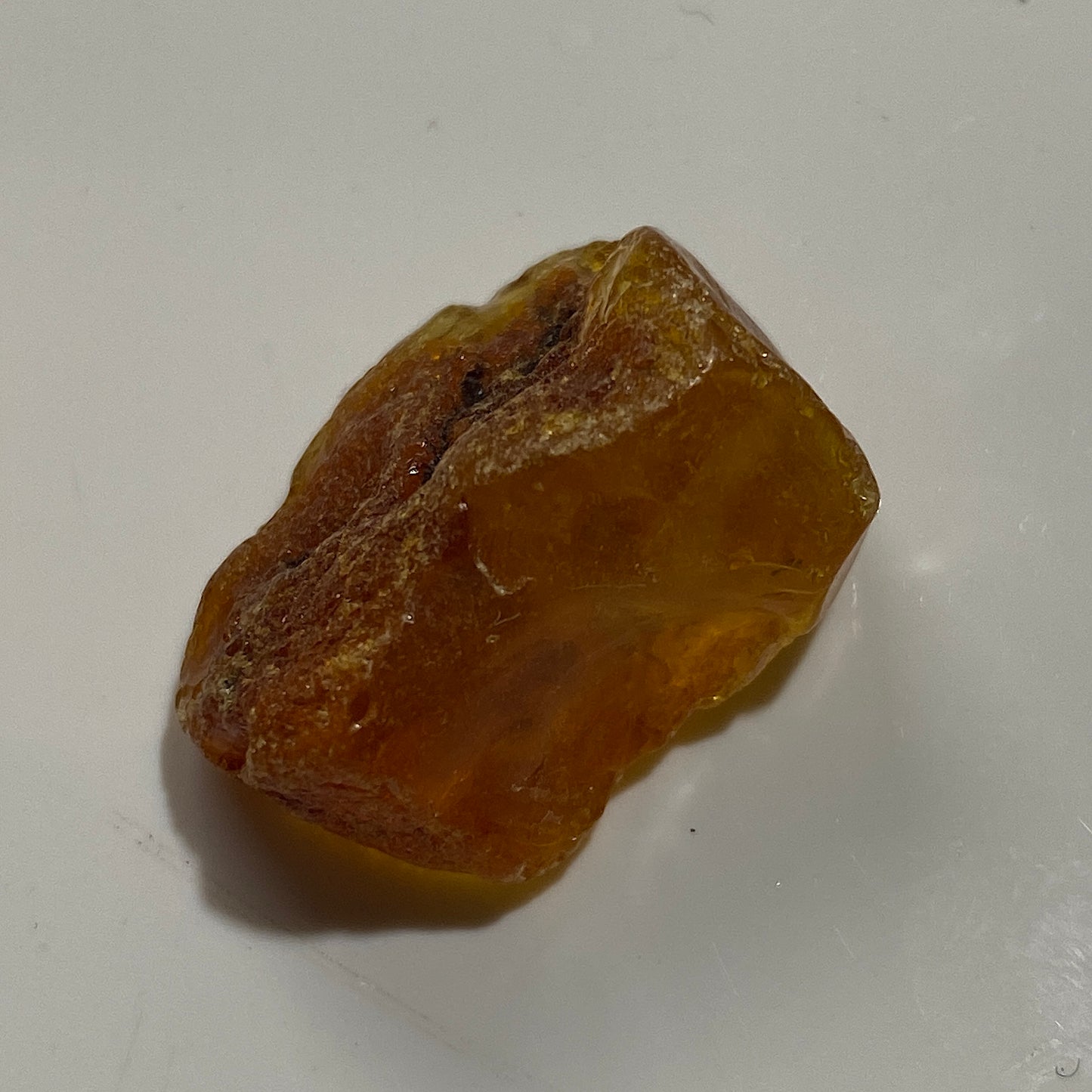 AMBER ROUGH UNTREATED x 7  - KARNIKAVA, BALTIC COAST, LATVIA