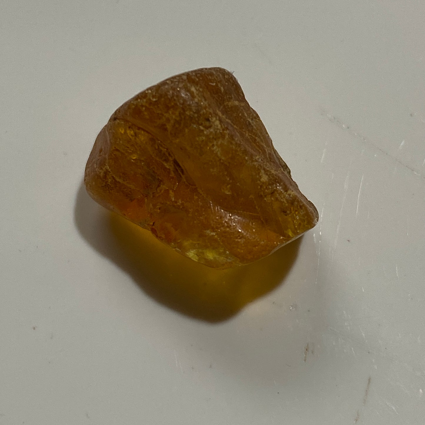 AMBER ROUGH UNTREATED x 7  - KARNIKAVA, BALTIC COAST, LATVIA