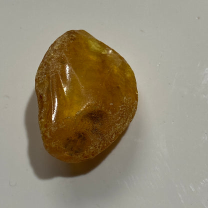 AMBER ROUGH UNTREATED x 7  - KARNIKAVA, BALTIC COAST, LATVIA