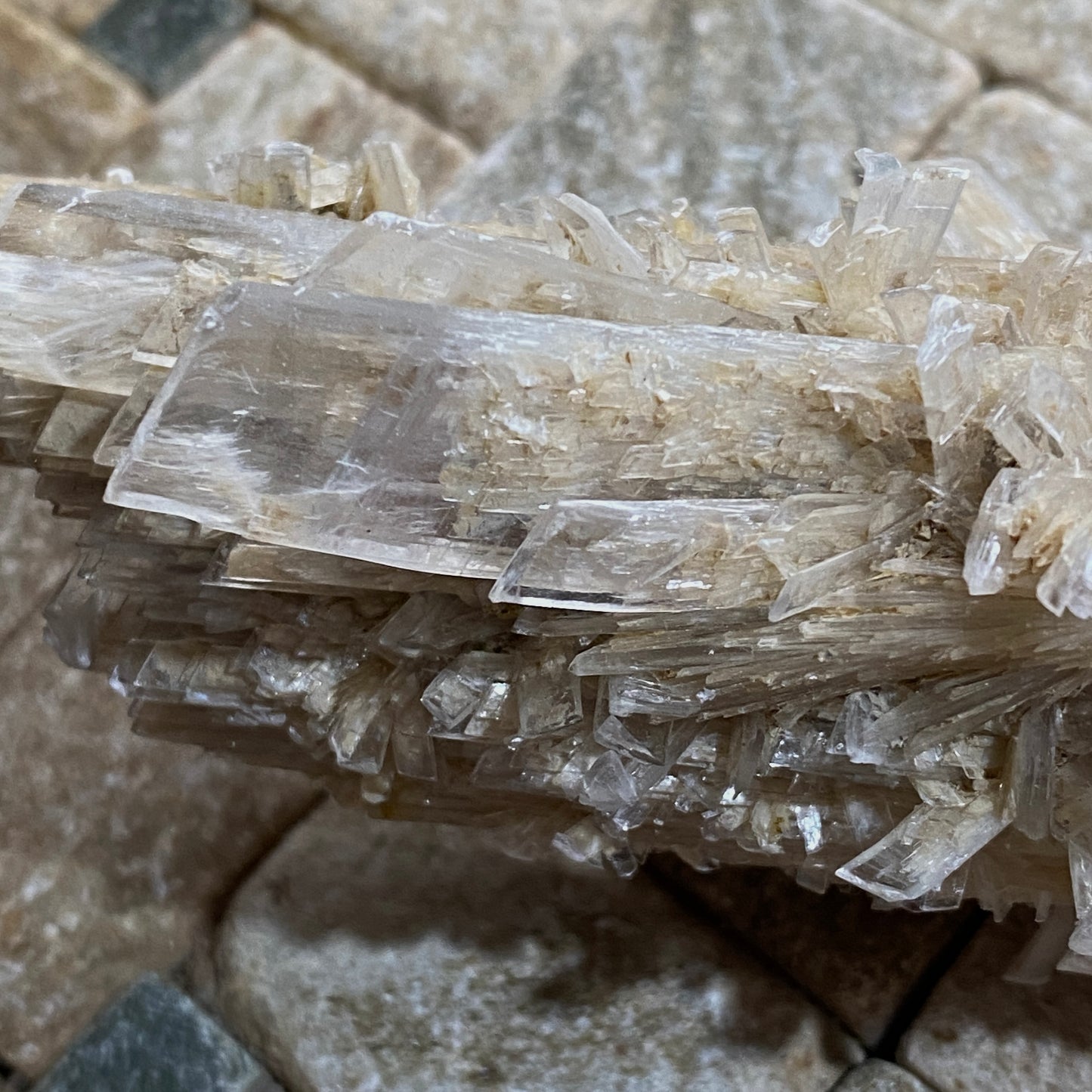 SELENITE CRYSTAL CLUSTER  - ANGERVILLIERS, ESSONNE, FRANCE 107g MF4099