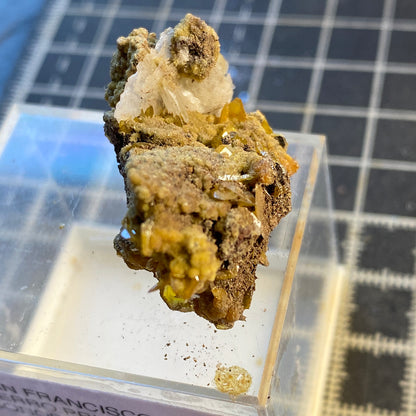 WULFENITE/MIMETITE/BARYTE, SAN FRANCISCO MINE, MEXICO. 9g MF1699