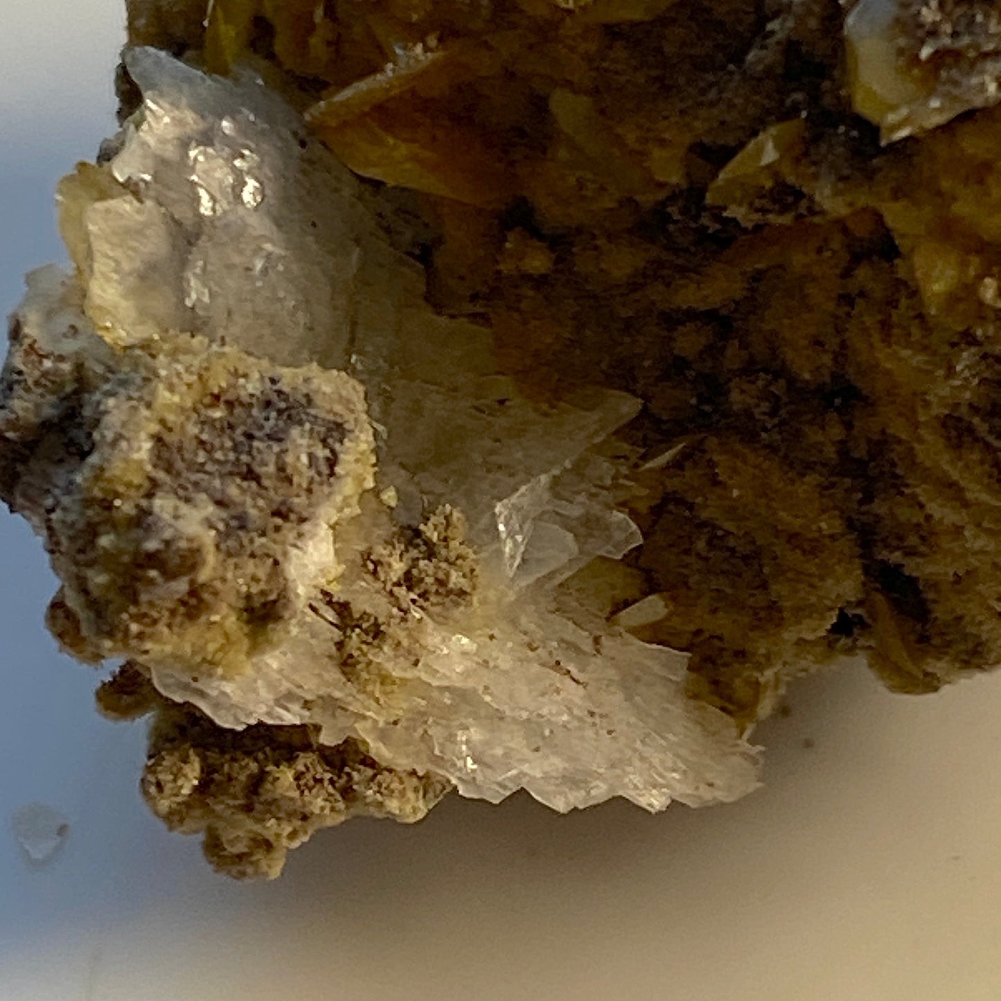 WULFENITE/MIMETITE/BARYTE, SAN FRANCISCO MINE, MEXICO. 9g MF1699