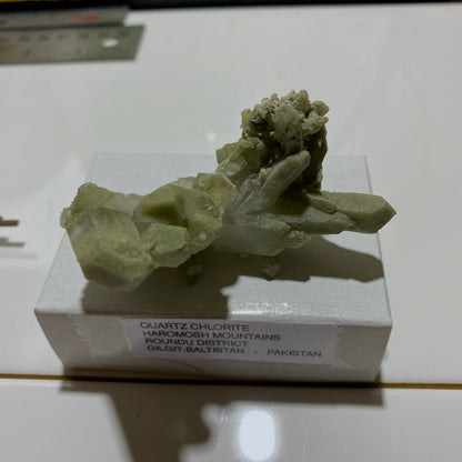 QUARTZ/CHLORITE  - HAROMOSH MOUNTAINS, PAKISTAN  34g. MF4110