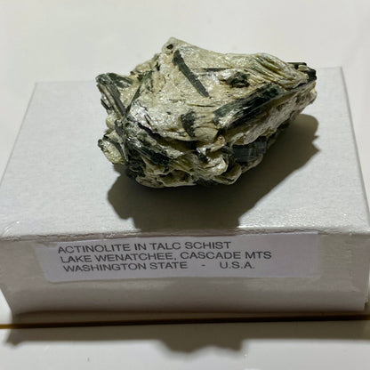 ACTINOLITE IN TALC SCHIST - LAKE WENATCHEE, CASCADES MTS.  U.S.A. 48g MF4107