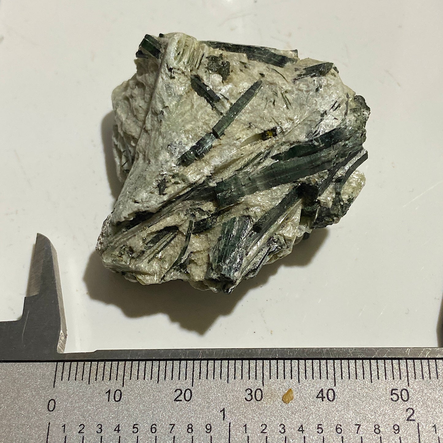 ACTINOLITE IN TALC SCHIST - LAKE WENATCHEE, CASCADES MTS.  U.S.A. 48g MF4107