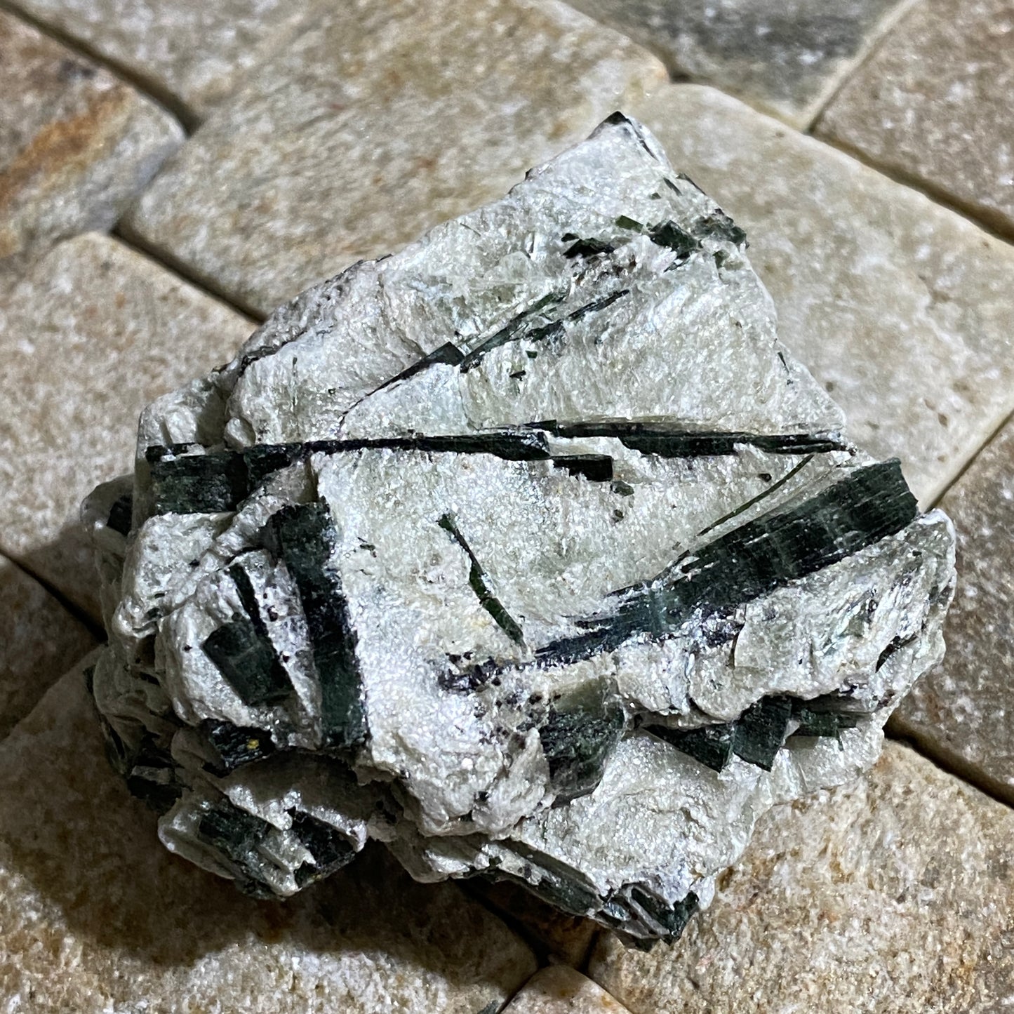 ACTINOLITE IN TALC SCHIST - LAKE WENATCHEE, CASCADES MTS.  U.S.A. 48g MF4107