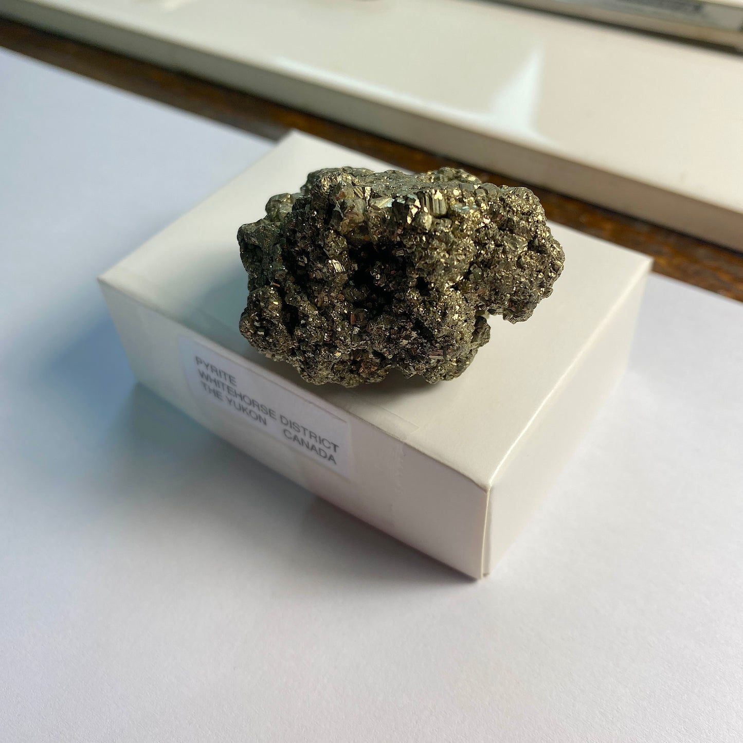 PYRITE FROM WHITEHORSE, THE YUKON, CANADA. 75g. MF4100