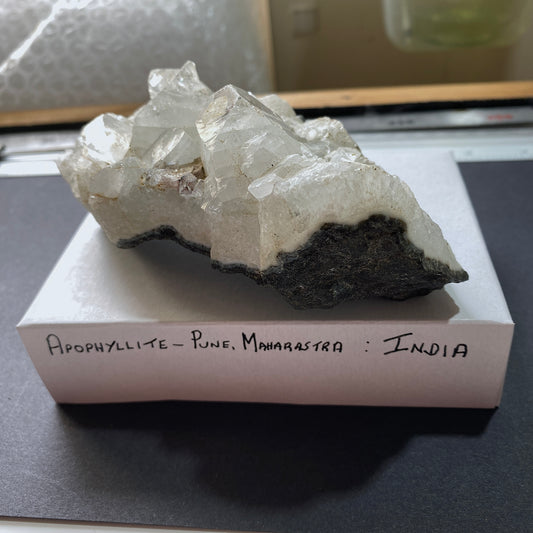 APOPHYLLITE IMPRESSIVE CRYSTAL CLUSTER FROM INDIA 340g MF3623