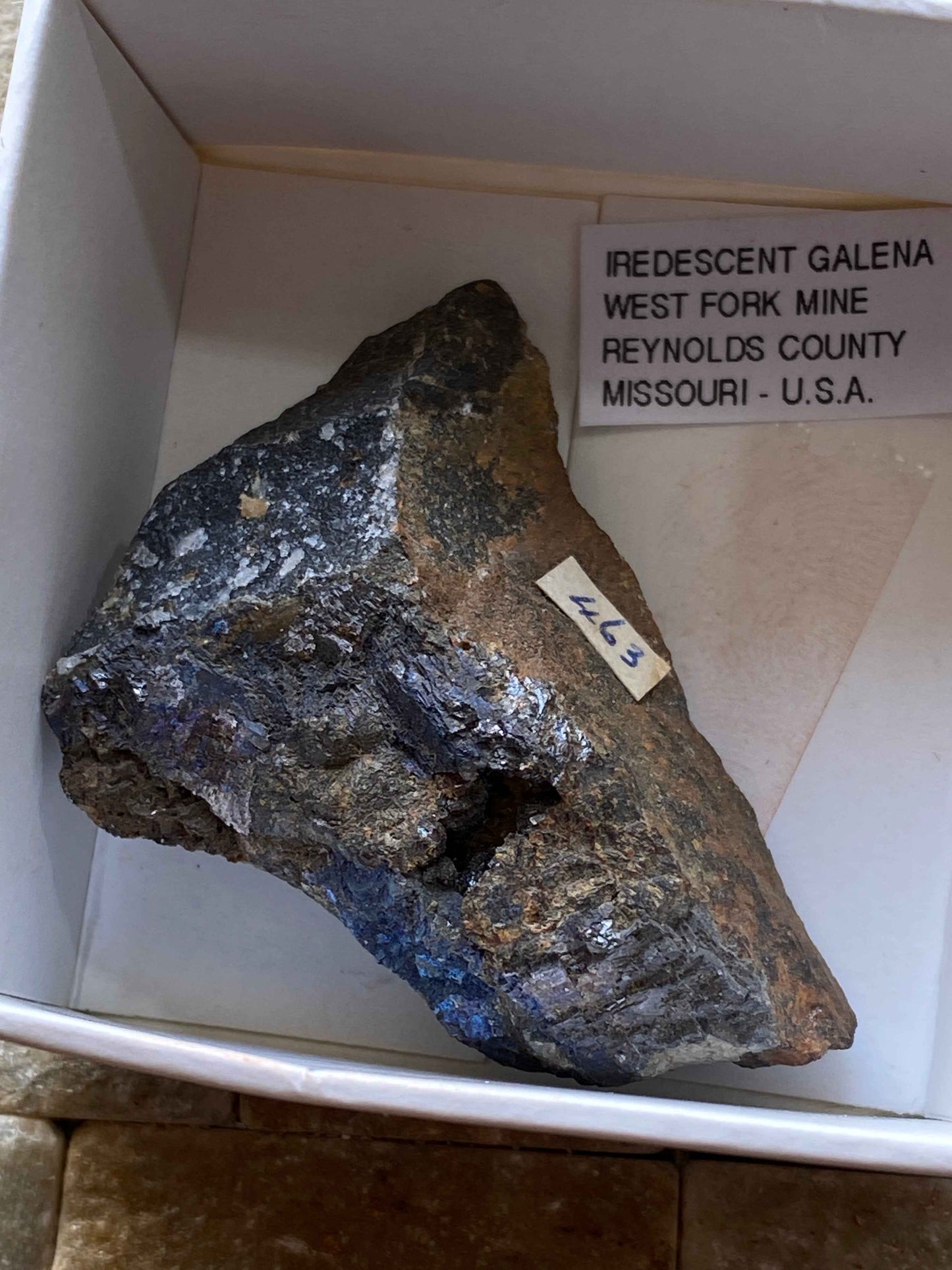 IRIDESCENT GALENA : WEST FORK MINE, REYNOLDS CO, MISSOURI, U.S.A. 26g MF4930