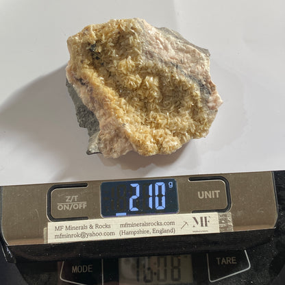 DOLOMITE - LINHAY HILL QUARRY, ASHBURTON, DEVON, ENGLAND 210g MF1341