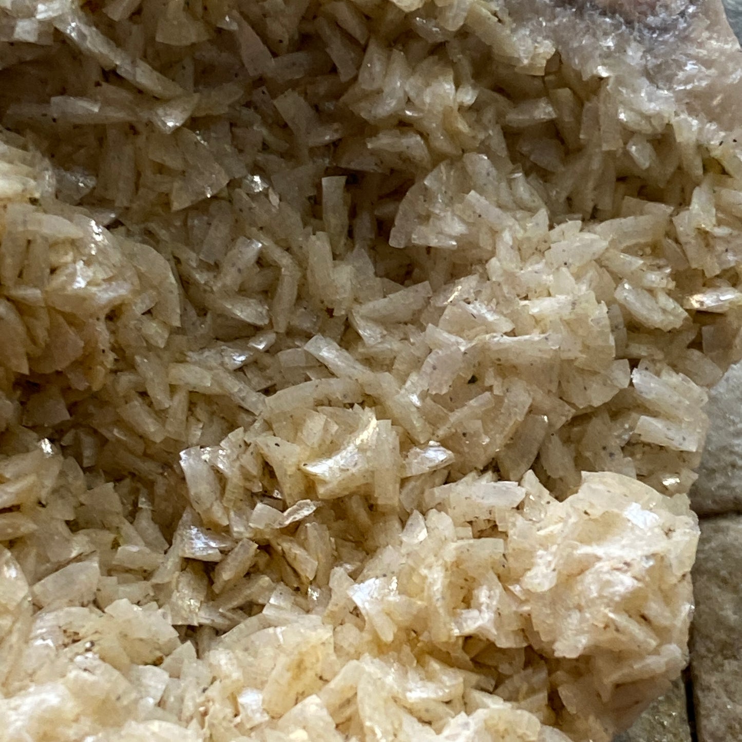 DOLOMITE - LINHAY HILL QUARRY, ASHBURTON, DEVON, ENGLAND 210g MF1341