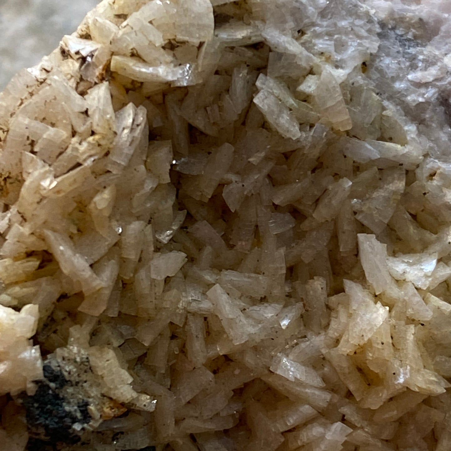 DOLOMITE - LINHAY HILL QUARRY, ASHBURTON, DEVON, ENGLAND 210g MF1341