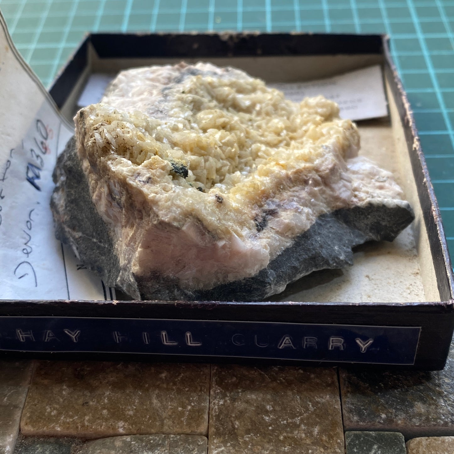 DOLOMITE - LINHAY HILL QUARRY, ASHBURTON, DEVON, ENGLAND 210g MF1341