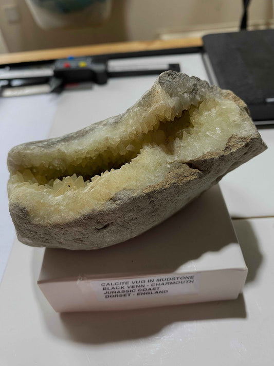RARE CALCITE VUG IN MUDSTONE : BLACK VENN, CHARMOUTH, JURASSIC COAST, DORSET, ENGLAND 287g MF4951