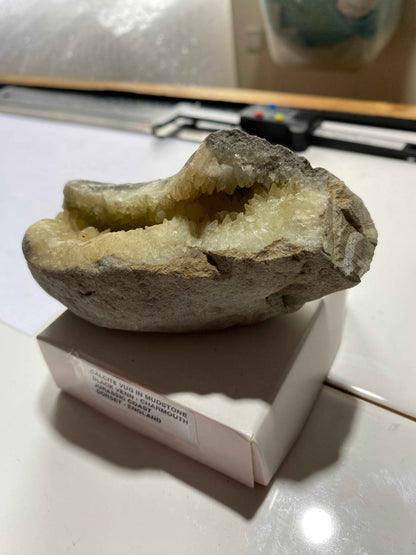RARE CALCITE VUG IN MUDSTONE : BLACK VENN, CHARMOUTH, JURASSIC COAST, DORSET, ENGLAND 287g MF4951