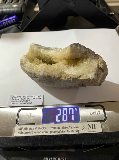 RARE CALCITE VUG IN MUDSTONE : BLACK VENN, CHARMOUTH, JURASSIC COAST, DORSET, ENGLAND 287g MF4951