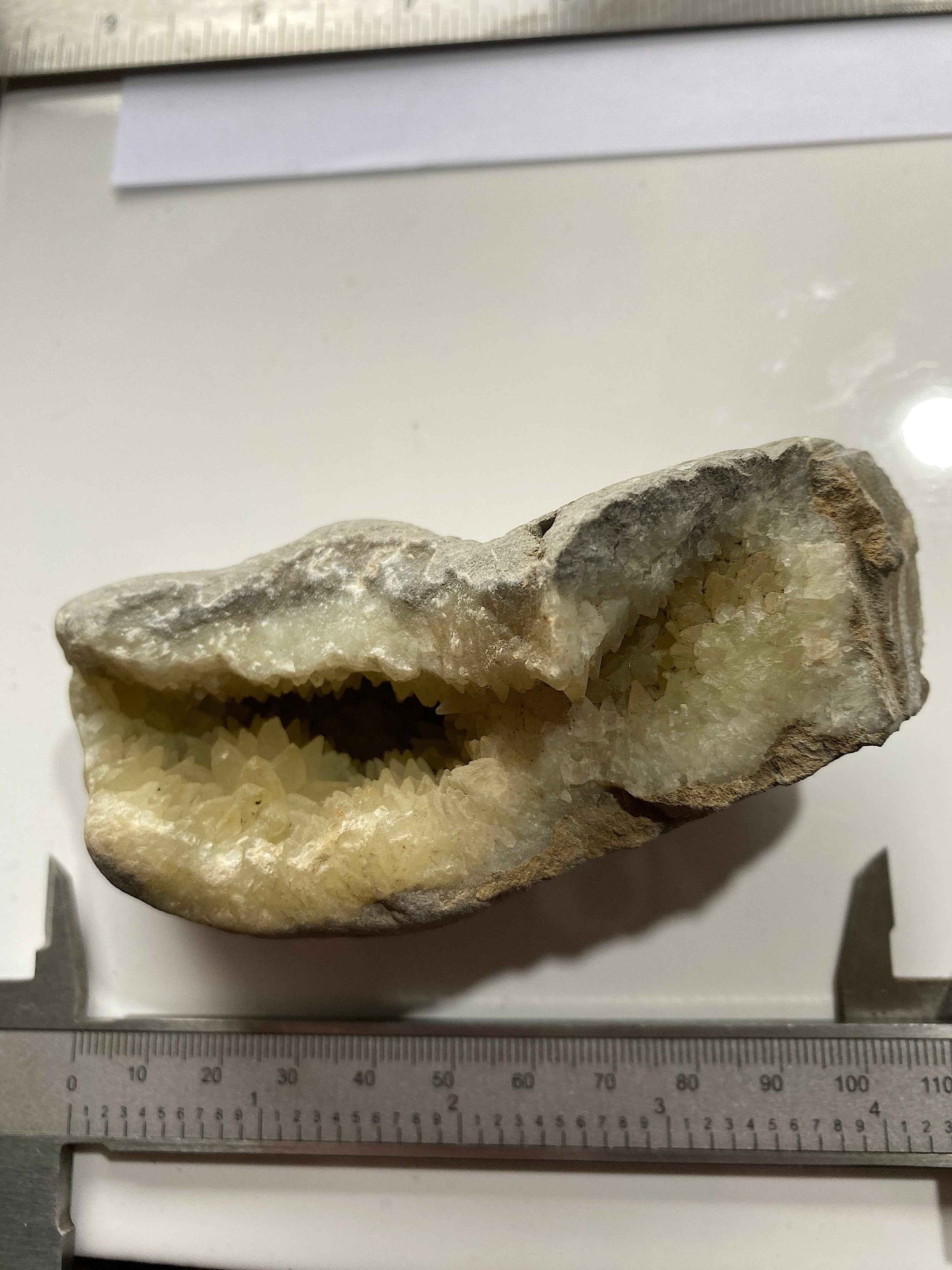 RARE CALCITE VUG IN MUDSTONE : BLACK VENN, CHARMOUTH, JURASSIC COAST, DORSET, ENGLAND 287g MF4951