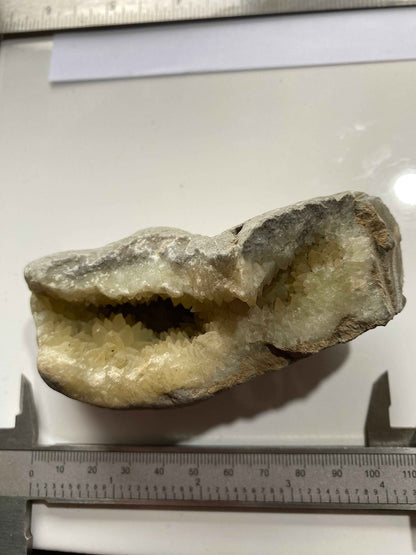 RARE CALCITE VUG IN MUDSTONE : BLACK VENN, CHARMOUTH, JURASSIC COAST, DORSET, ENGLAND 287g MF4951