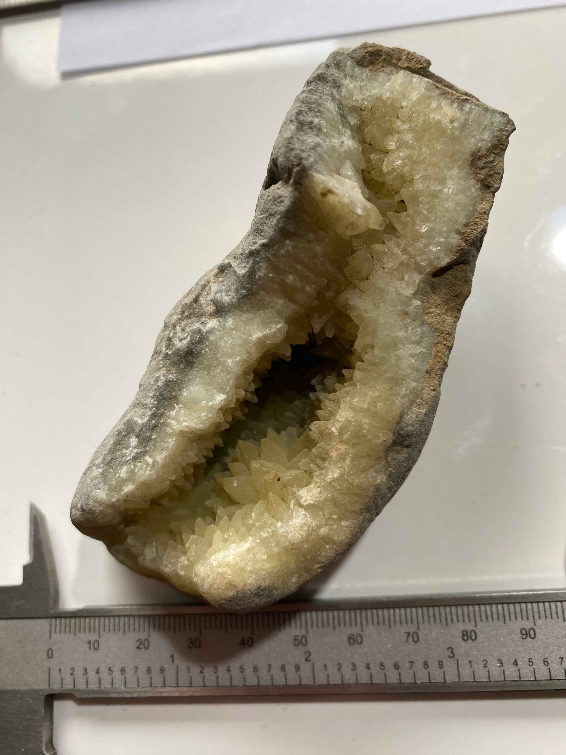 RARE CALCITE VUG IN MUDSTONE : BLACK VENN, CHARMOUTH, JURASSIC COAST, DORSET, ENGLAND 287g MF4951