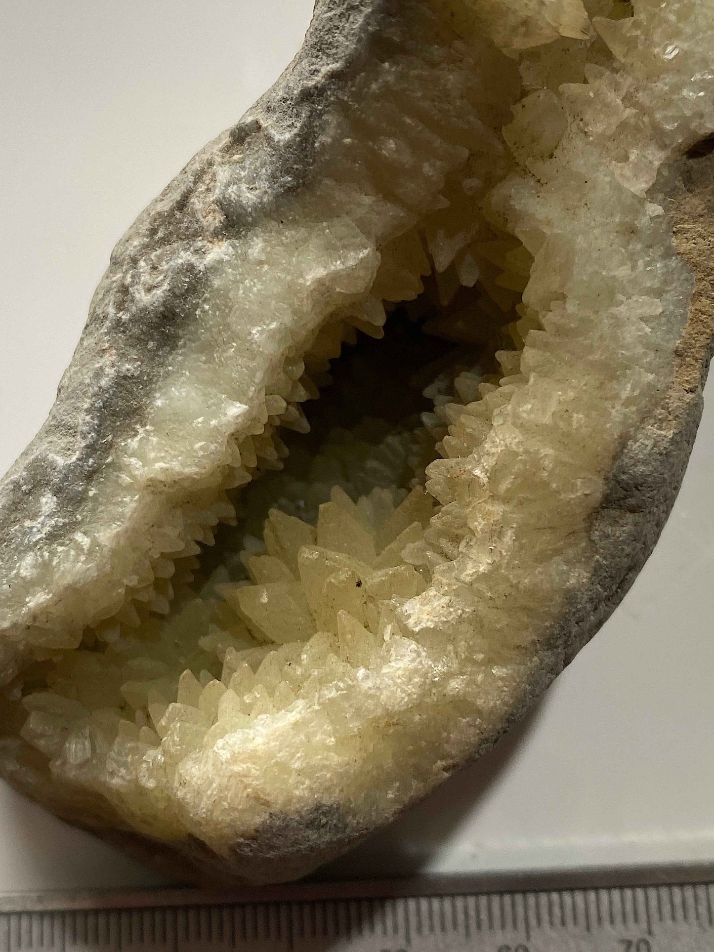 RARE CALCITE VUG IN MUDSTONE : BLACK VENN, CHARMOUTH, JURASSIC COAST, DORSET, ENGLAND 287g MF4951