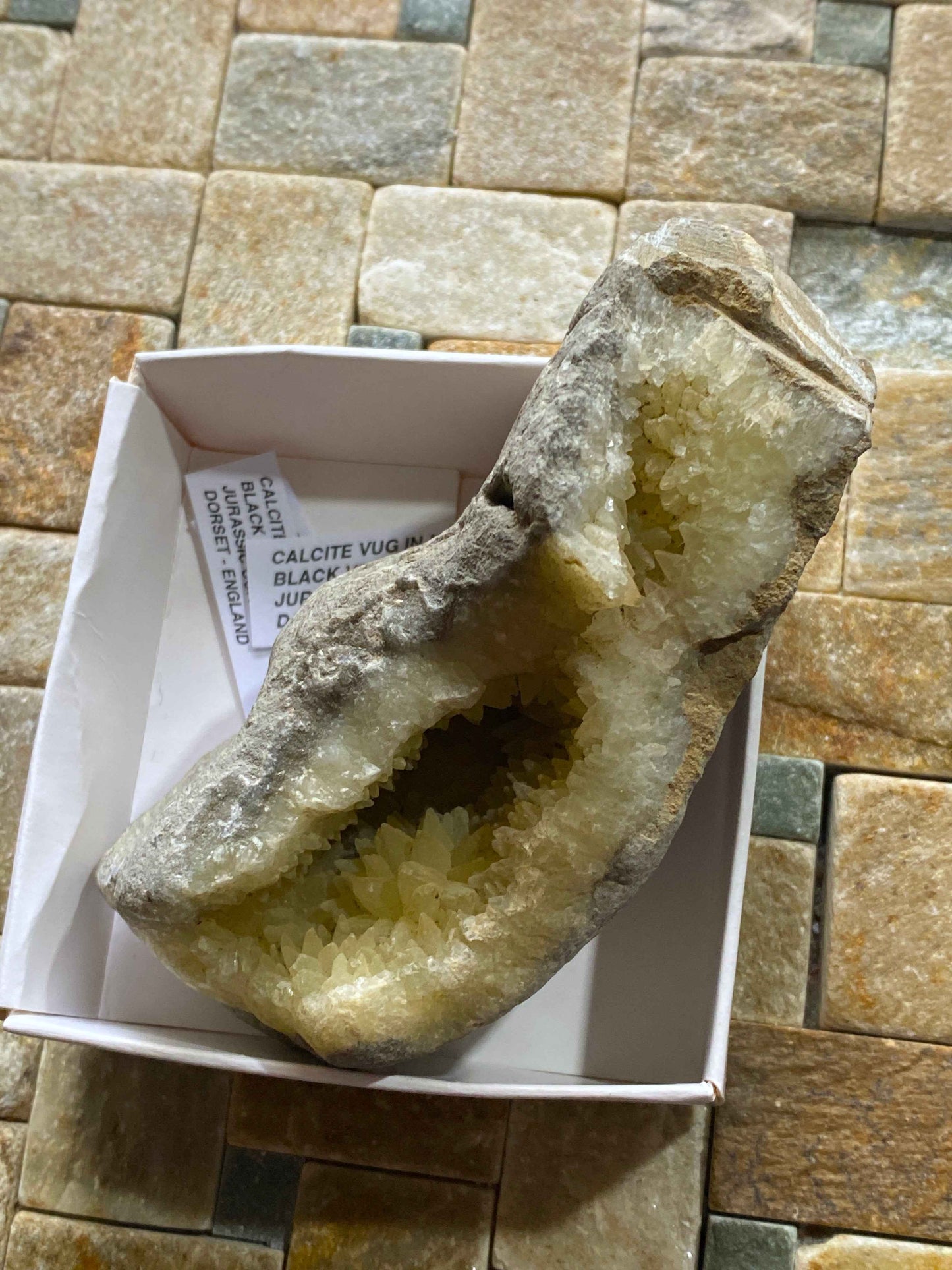 RARE CALCITE VUG IN MUDSTONE : BLACK VENN, CHARMOUTH, JURASSIC COAST, DORSET, ENGLAND 287g MF4951
