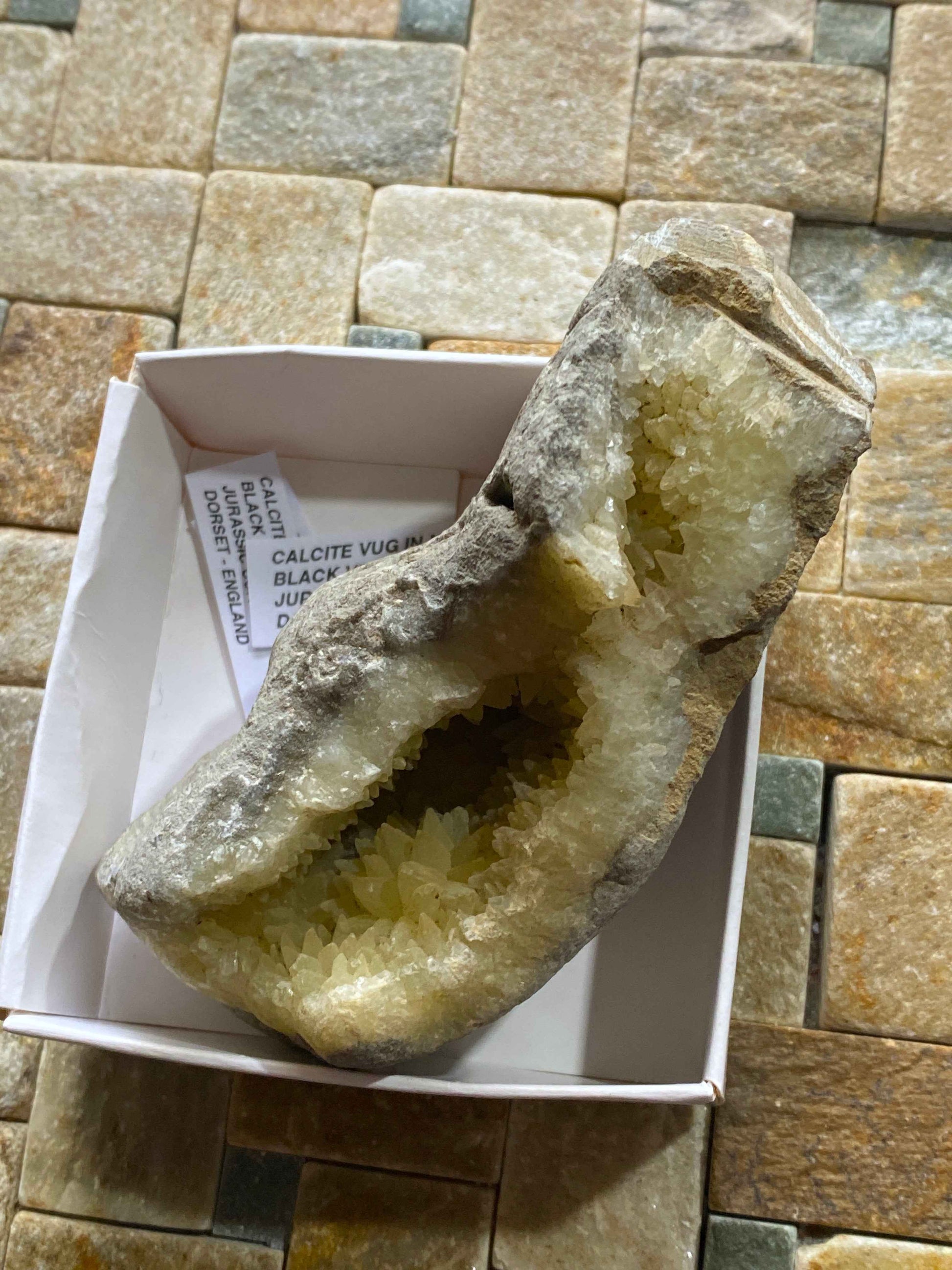 RARE CALCITE VUG IN MUDSTONE : BLACK VENN, CHARMOUTH, JURASSIC COAST, DORSET, ENGLAND 287g MF4951