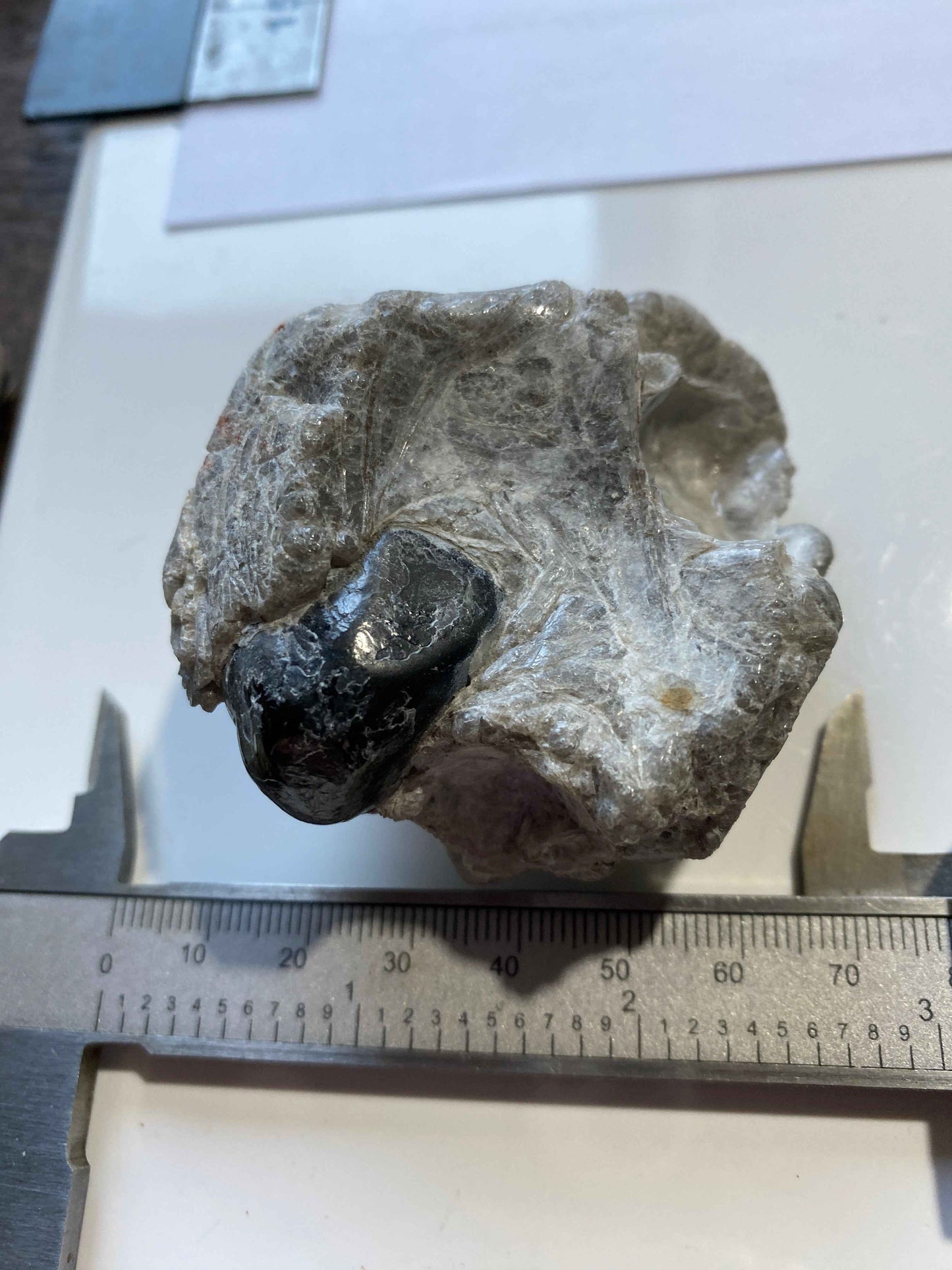 OBSIDIAN IN PERLITE : PICKETPOST MOUNTAIN, ARIZONA, U.S.A. 130g MF4941
