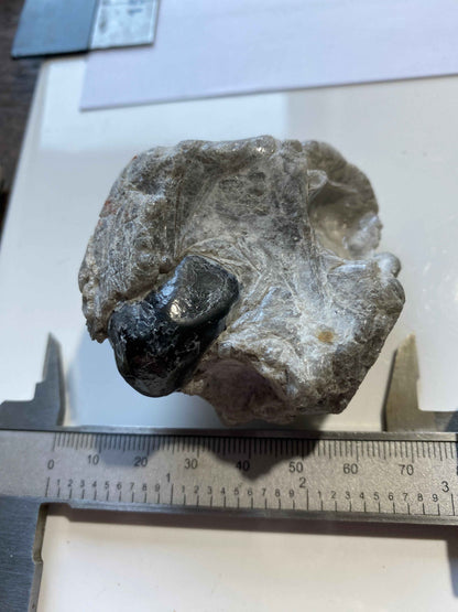 OBSIDIAN IN PERLITE : PICKETPOST MOUNTAIN, ARIZONA, U.S.A. 130g MF4941