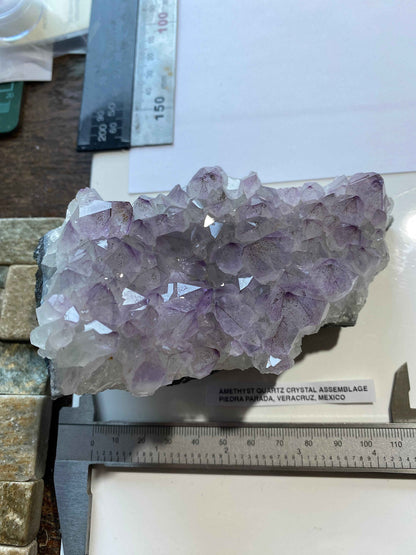 AMETHYST QUARTZ CRYSTAL ASSEMBLAGE : PIEDRA PARADA, VERACRUZ, MEXICO, 607g MF4942