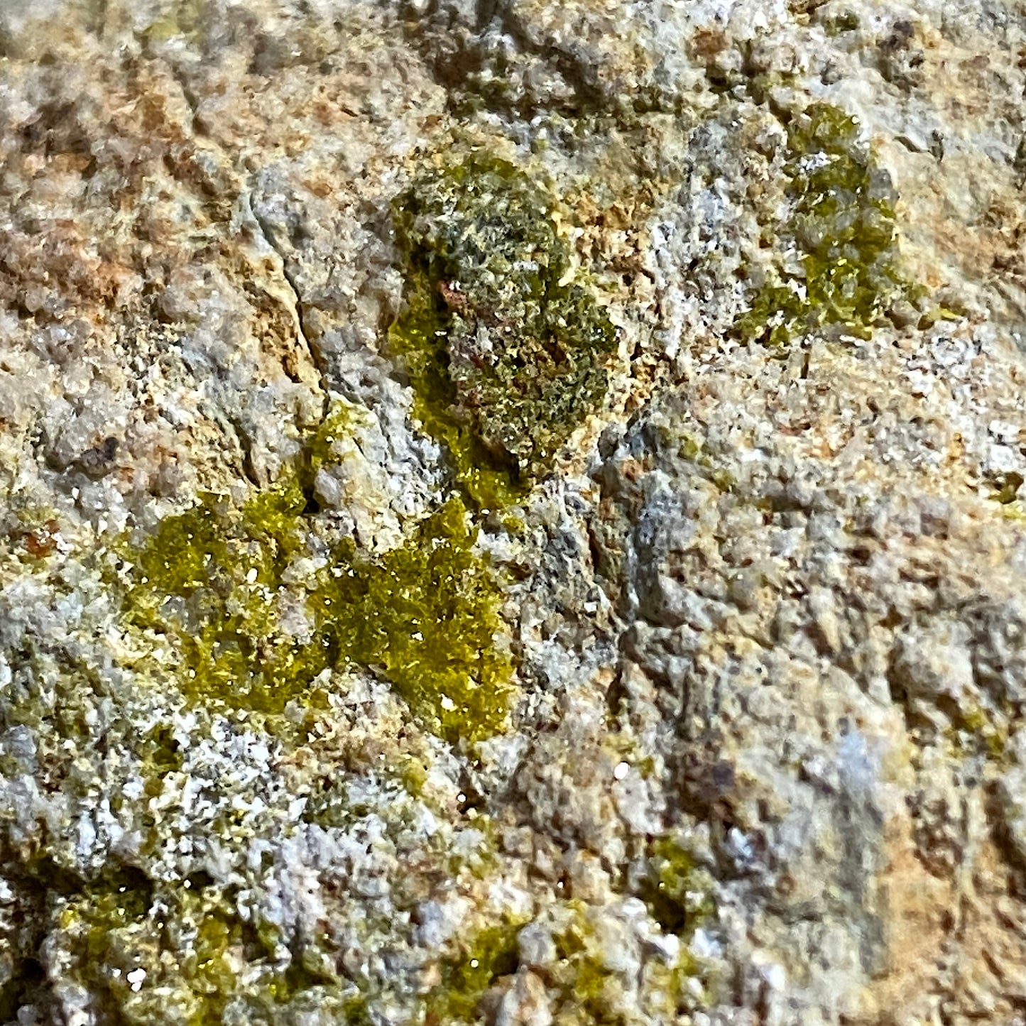PYROMORPHITE ON LIMONITE - BWICH MINE, TAL-Y-BONT, CEREDIGION, WALES, U.K.