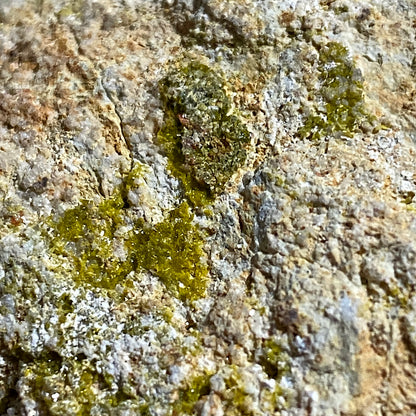 PYROMORPHITE ON LIMONITE - BWICH MINE, TAL-Y-BONT, CEREDIGION, WALES, U.K.
