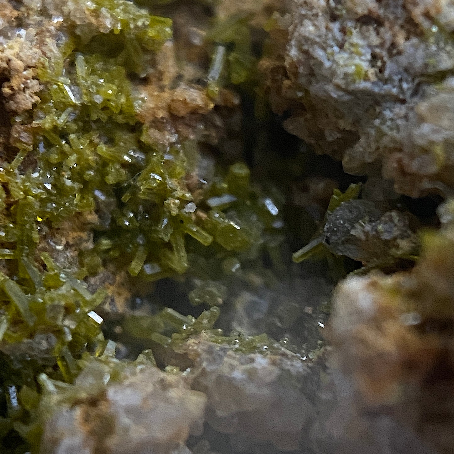 PYROMORPHITE ON LIMONITE - BWICH MINE, TAL-Y-BONT, CEREDIGION, WALES, U.K.